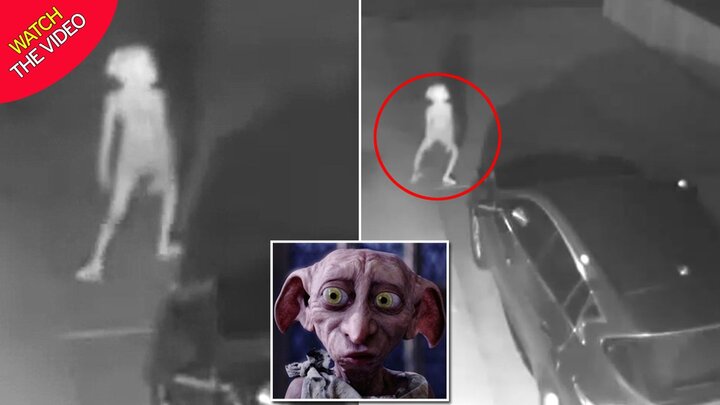 Clip: Sinh vật bí ẩn giống yêu tinh Dobby lọt vào camera giám sát trong đêm tối