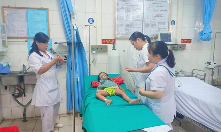 Bị kiến xoan đốt, bé gái 5 tuổi ở Tuyên Quang sốc phản vệ nguy kịch