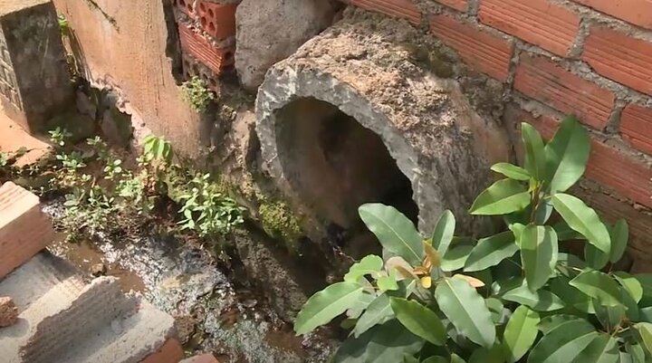 Video: Lò mổ tự phát gây ô nhiễm nhưng chính quyền không xử lý dứt điểm