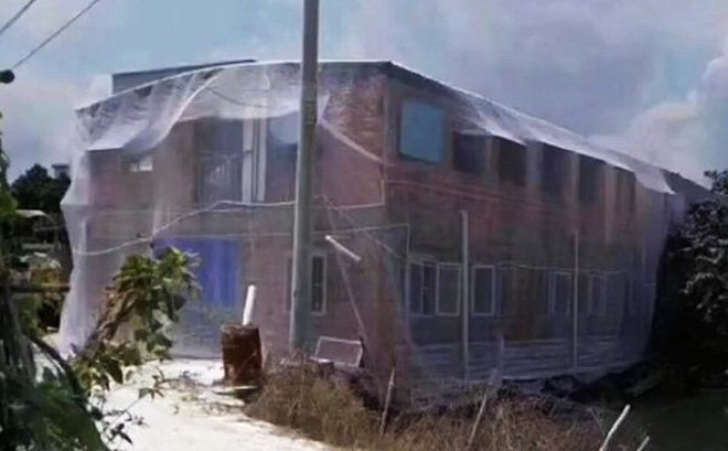 Video: Mắc màn cho nhà 2 tầng để tránh muỗi