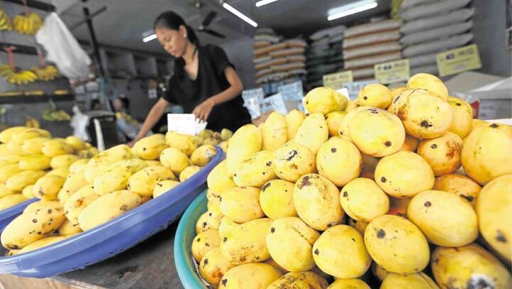 Philippines đau đầu vì thừa xoài do hiện tượng El Nino