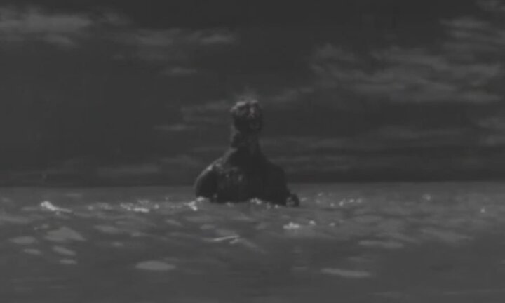 Vì sao Godzilla khổng lồ không thể tồn tại ngoài đời thực?