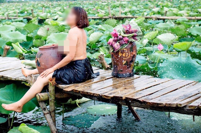 Quận Tây Hồ cấm chụp ảnh nude bên hồ sen