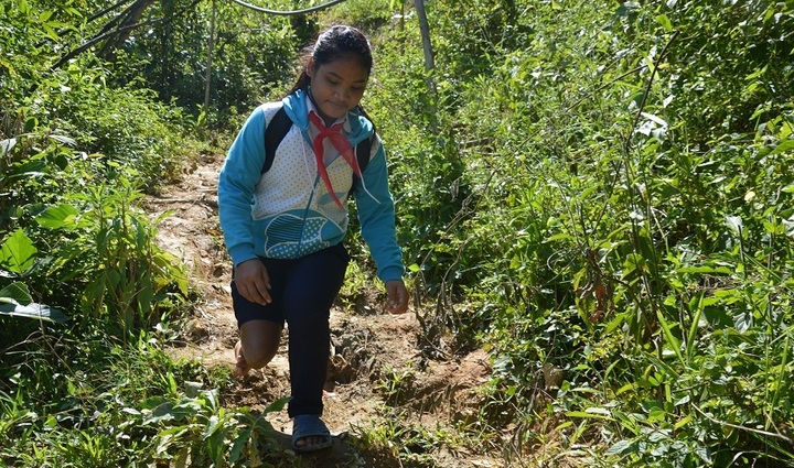 Giấc mơ đại học của cô bé 9 năm lò cò đến trường và 365 ngày tìm lại chân đã mất