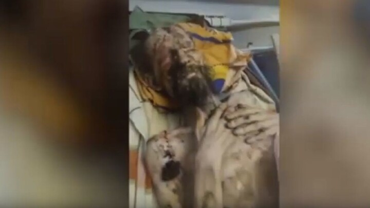 Sự thật về câu chuyện gấu khét tiếng bắt người về hang làm 'của để dành'