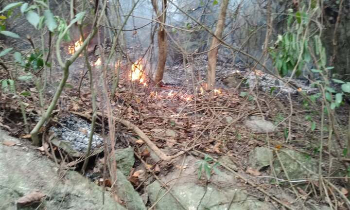 24 giờ chìm trong biển lửa, 25ha rừng ở Quảng Ngãi bị thiêu trụi