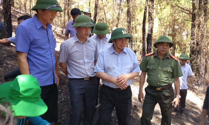 Lãnh đạo Hà Tĩnh chỉ đạo quyết liệt chữa cháy rừng và khắc phục hậu quả