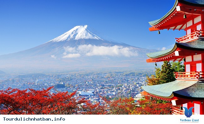 8 doanh nghiệp du lịch Việt bị 'tuýt còi' tư cách đại diện xin visa Nhật