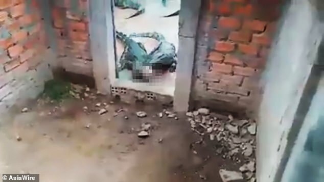 Đi lạc vào chuồng nuôi cá sấu của bố, bé gái 2 tuổi bị cắn chết thương tâm