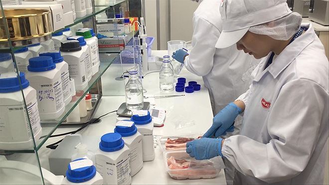 Việt Nam sản xuất thử nghiệm thành công vaccine phòng dịch tả lợn châu Phi