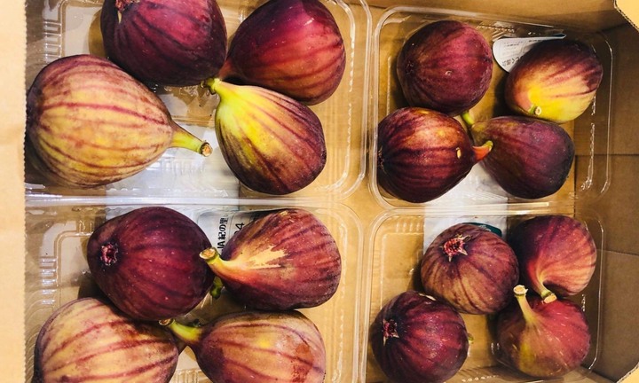 Đắt gấp hàng trăm lần sung Việt, sung Nhật vẫn 'cháy' hàng