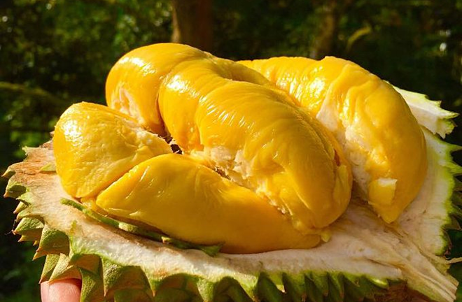 Hai loại củ quả không nên dùng khi uống rượu