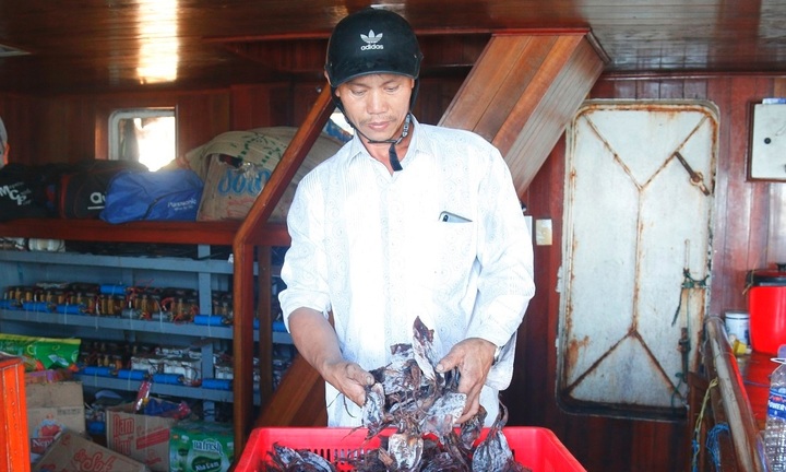 Giá bất ngờ tăng vọt, nghìn tấn mực khô của ngư dân Quảng Nam thoát cảnh tồn đọng