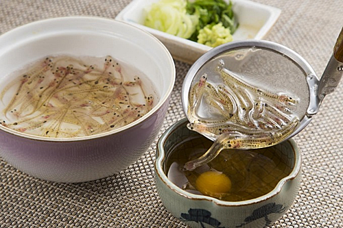 Cá nhảy trong miệng, món ngon 300 tuổi muốn ăn phải nuốt sống ở Nhật