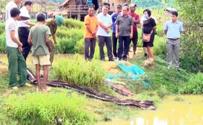Bốn em nhỏ ở Khánh Hòa chết đuối thương tâm ngay trong ao nhà