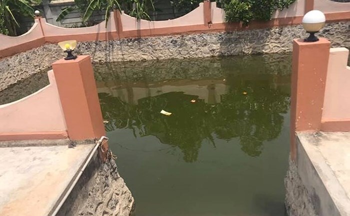 Nghệ An: Sảy chân rơi xuống ao, chị đuối nước, em nguy kịch