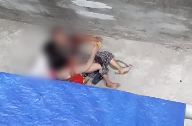 Video: Sang gọi cháu ngoại qua ăn cơm, bà cụ 77 tuổi bị chó tấn công rách mặt