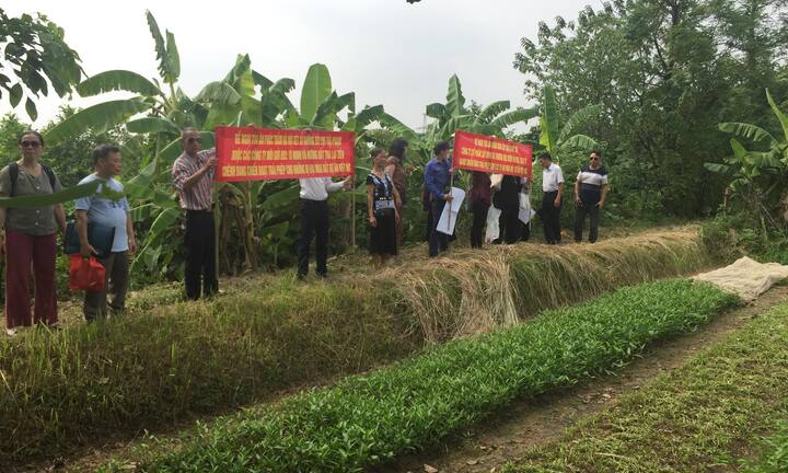 Lập dự án 'ma' Việt-INC, thu hàng trăm tỷ đồng của khách hàng