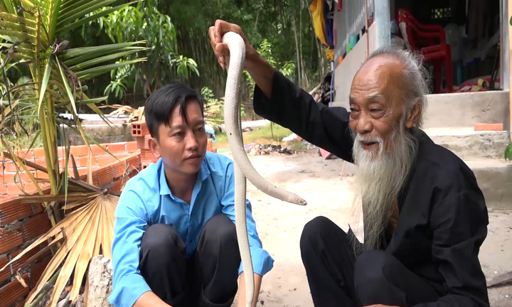 Video: Lão nông nuôi 'bạch xà' làm thú cưng ở An Giang