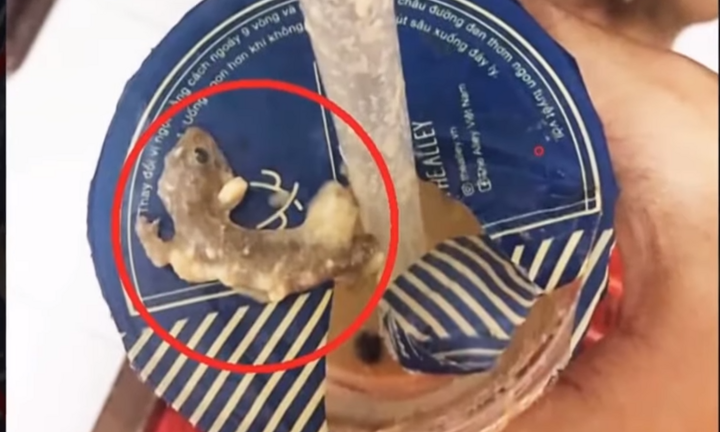 Thương hiệu trà sữa nổi tiếng bị khách hàng tố có lẫn thạch sùng