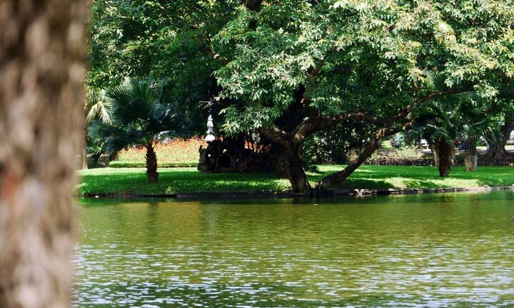 Huế sắp có vườn bách thảo trên sông trị giá gần 40 tỷ đồng