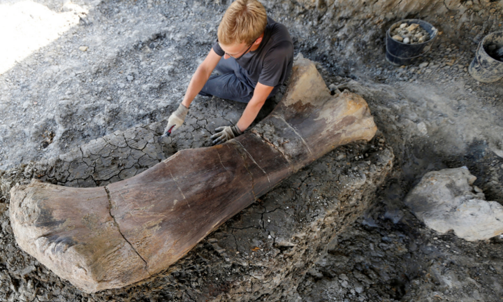 Phát hiện xương đùi nặng gần nửa tấn của khủng long ở Pháp