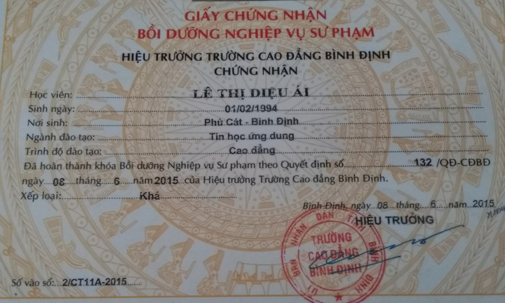 Hàng trăm giáo viên nguy cơ mất việc do giấy chứng nhận sư phạm: UBND tỉnh Bình Định yêu cầu làm rõ