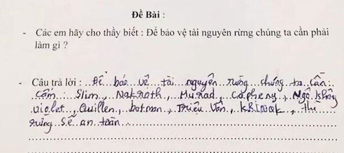 Cười nghiêng ngả với học sinh đưa tên nhân vật trò chơi vào bài kiểm tra về bảo vệ rừng