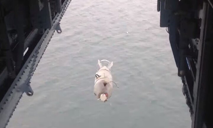 Trực thăng ‘săn ngầm’ của Ukraine bị chê tơi tả trên mạng