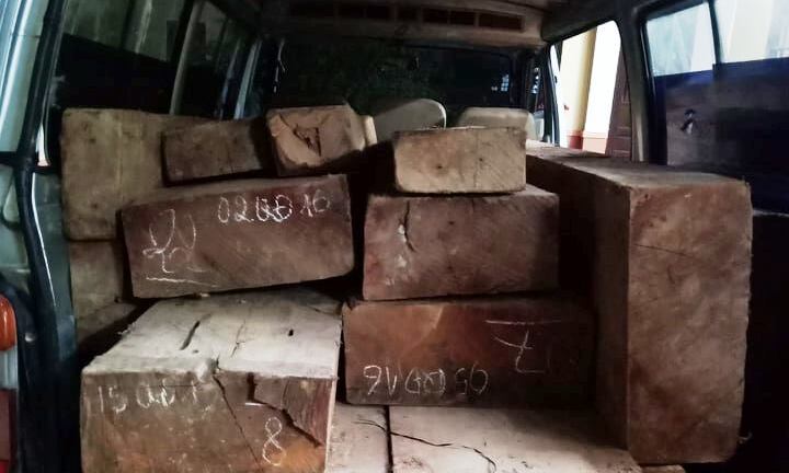 Bị CSGT rượt đuổi hơn 1 tiếng đồng hồ, tài xế bỏ lại xe chở gỗ lậu rồi tẩu thoát