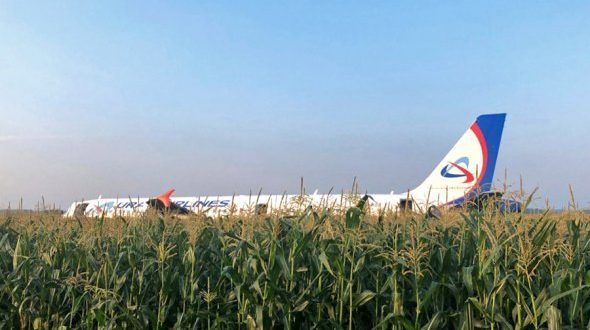 Hỏng động cơ do va phải chim, máy bay Nga hạ cánh cứng giữa đồng