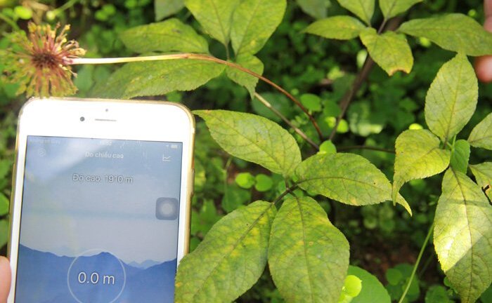 Khi nào đánh thức ‘báu vật’ trong những cánh rừng hoang?