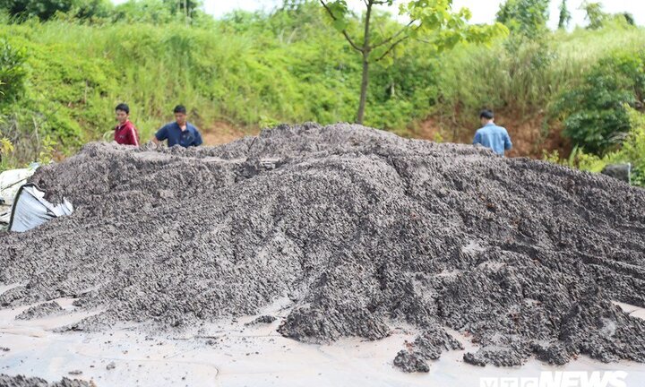 Đổ chất thải từ Alumin Nhân Cơ ra đường: Đề xuất phạt 8 - 12 triệu đồng