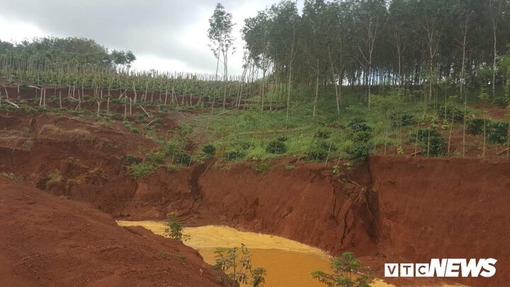 Công bố nguyên nhân sạt lở hồ thải Nhà máy Nhân Cơ