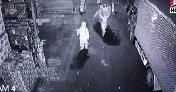 Clip: Bị chó đuổi, đoàn múa lân bỏ chạy 'mất dép'