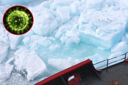 Hiểm họa băng tan đánh thức mầm bệnh và virus khổng lồ