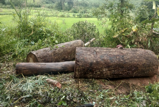 Lật xe chở gỗ lậu ở Kon Tum, người đàn ông bị đè chết