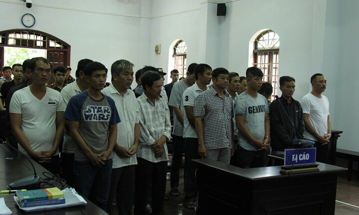 Trùm gỗ lậu Phượng 'râu' bị tuyên 8 năm 6 tháng tù