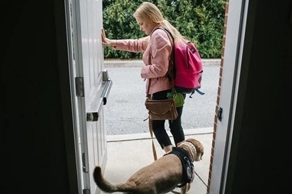 Loài chó có khả năng ngửi mùi phát hiện người bị động kinh