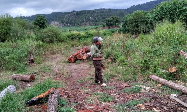 Kiểm lâm 2 huyện 'nhường' nhau, 8 tấn gỗ lậu biến mất khó hiểu