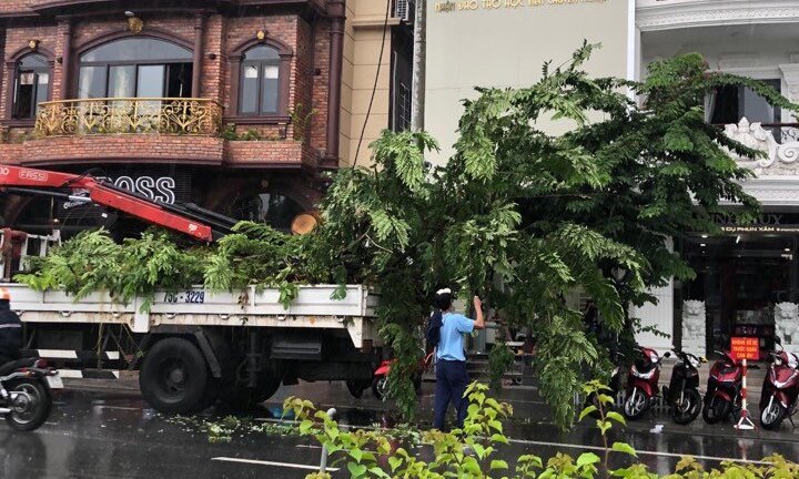 Bất thường việc đào gốc cây sưa trên vỉa hè trước cửa nhà hàng của đại gia xứ Huế