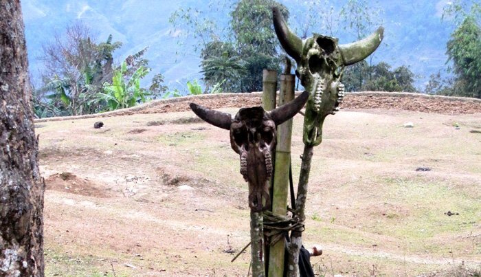 Những câu chuyện kỳ bí về vùng đất treo đầu lâu trâu khắp nơi ở Hà Giang