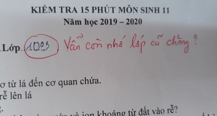 Lời phê hóm hỉnh của giáo viên trong bài kiểm tra lớp 11 khiến dân mạng thích thú