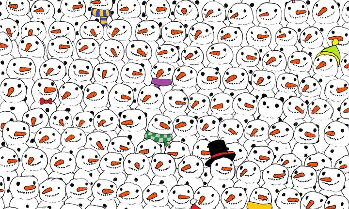 80% người chơi không tìm được chú gấu trúc trốn trong bức ảnh, còn bạn?