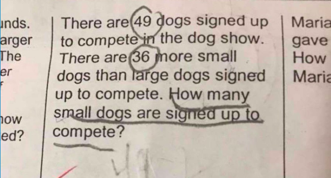 Bài tập về nhà của học sinh lớp 2 với đáp án kỳ quặc gây tranh cãi