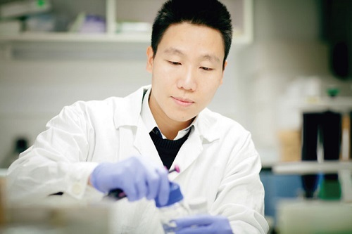 Y học tái sinh – phòng và chữa bệnh từ gốc