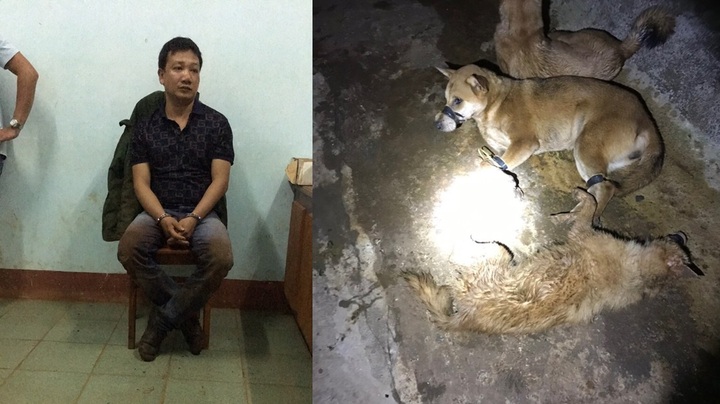 Bắt kẻ trộm chó xịt hơi cay vào cảnh sát giao thông