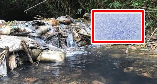 Chuyên gia cảnh báo chất Styren có khả năng gây ung thư, suy gan, suy thận