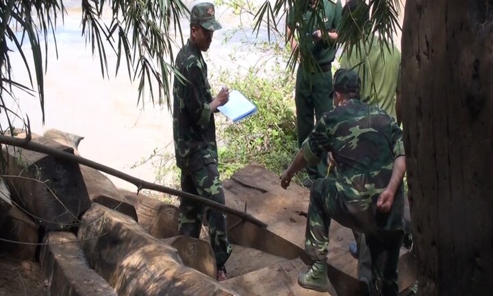 Phát hiện bãi tập kết gỗ vô chủ ở Đắk Lắk