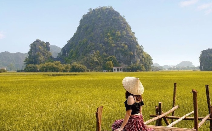Sen nở rộ, lúa trải vàng ở 'thánh địa check-in' đẹp nhất Ninh Bình